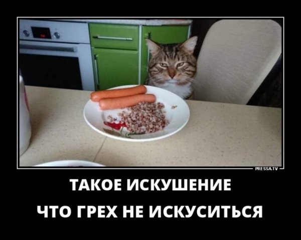 picture_242543273