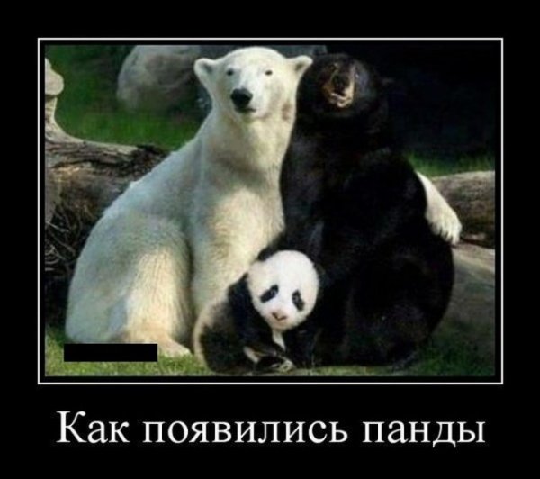 picture_375879895