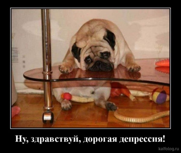 picture_378930008