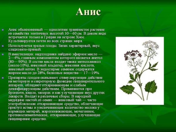 Анис
