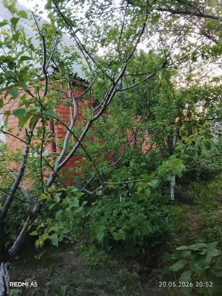 picture_413098462