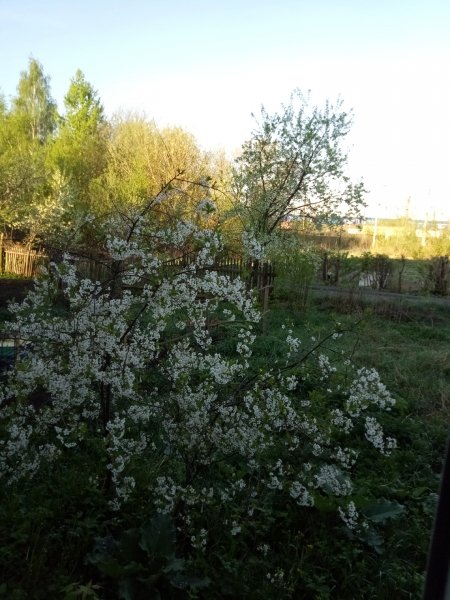 IMG 20180508 055846