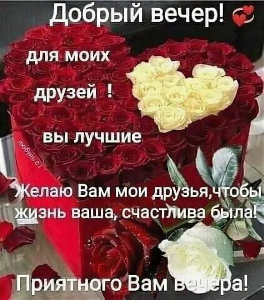 Добрый вечер!