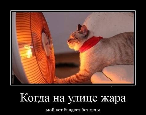 Жара