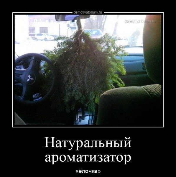 Ёлочка
