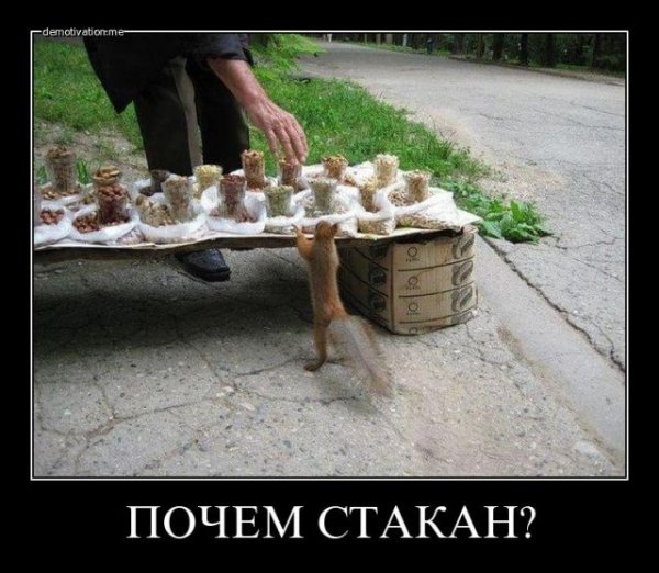s3img 12398122 70584 16
