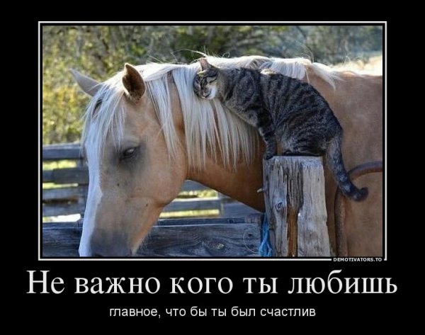 ne vazhno kogo tyi lyubish