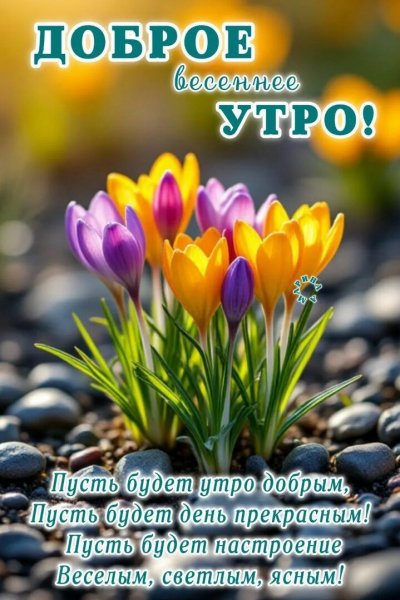 Всем вам!
