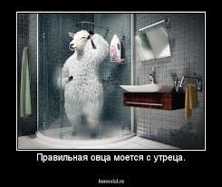 pics