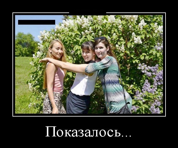 picture_249280752