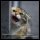 World of Tanks OST Track 11