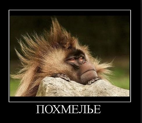 pics