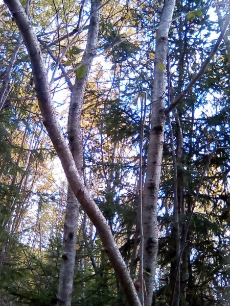 IMG 20161001 152216