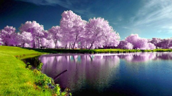 beautiful-nature-spring-wallpaper-1