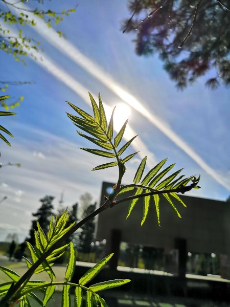 IMG 20190602 180216