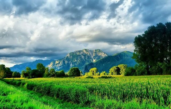 getImage(108)