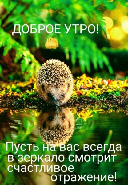 E7165372602941a545744d08d91e032c