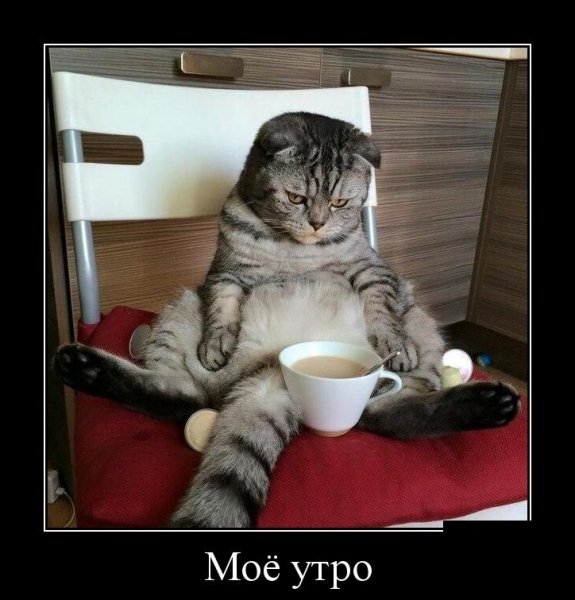 Утречко