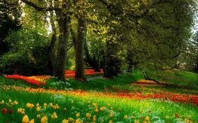 images (6)