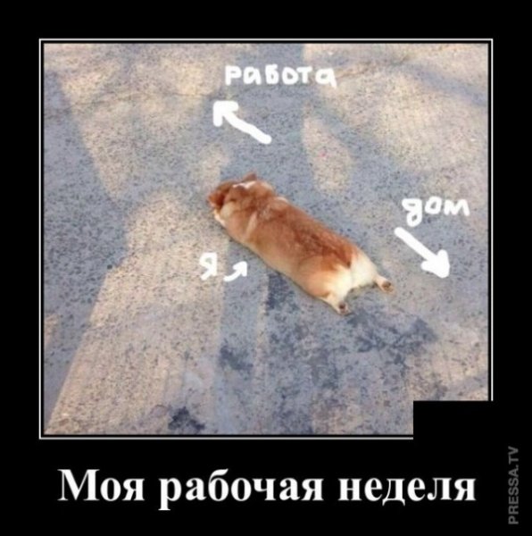 picture_239332370