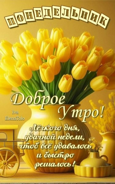 Друзья мои!