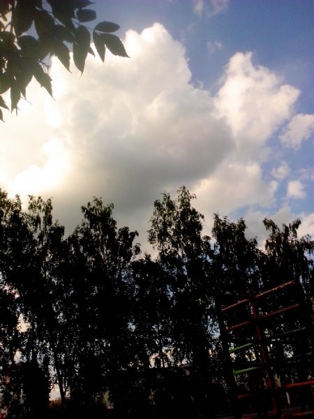 IMG 20150712 173936