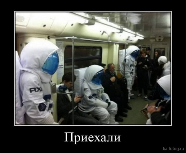 picture_379797304