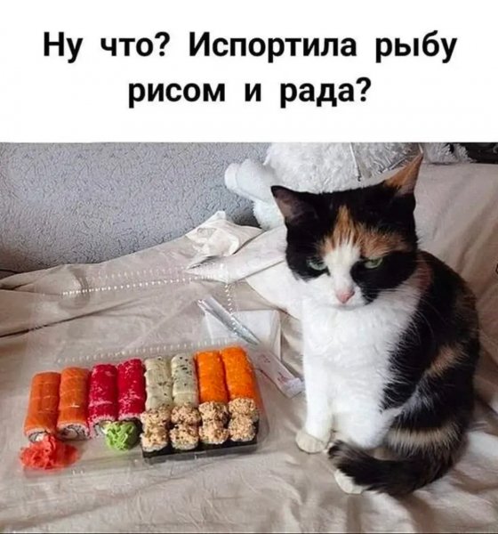 Madam plus 31b644f5127b4c03bde5c1a9d98e760a