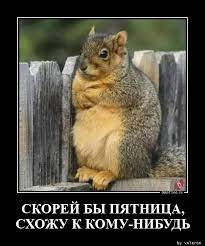 pics