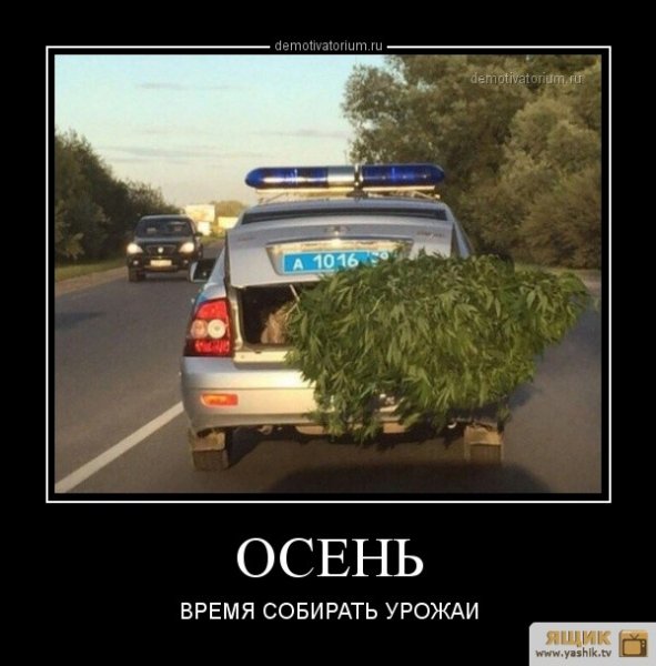3o9edpy1