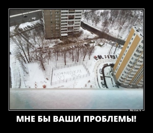 Мне бы ваши проблемы