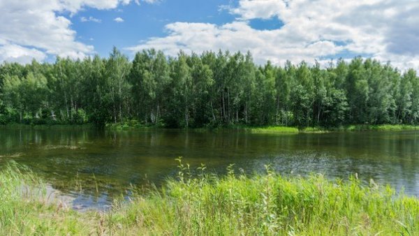 IMG 20180823 010555
