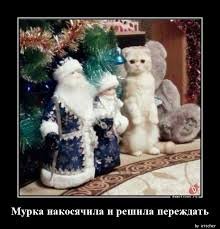 pics
