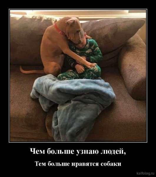 picture_379140690