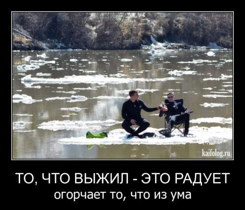 picture_376439466