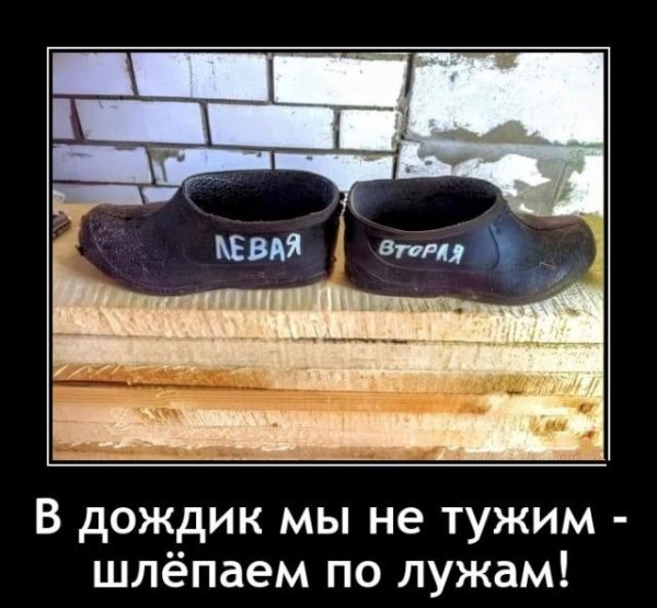 Галоши
