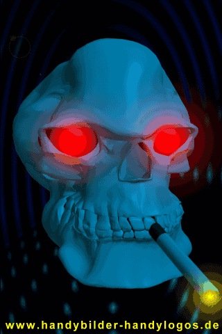 x480 Skull Totenkopf Mobile-Wallpaper