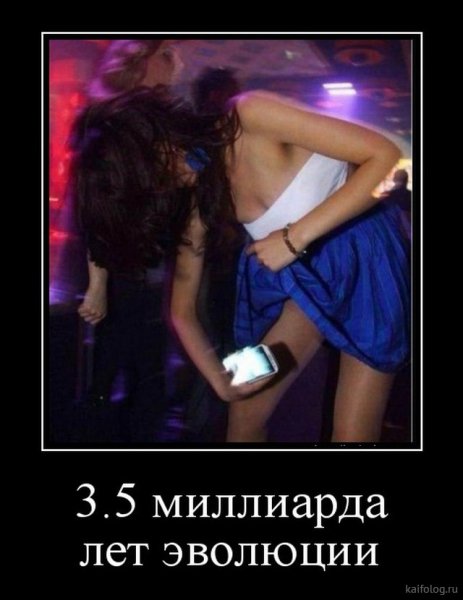 picture_378856746
