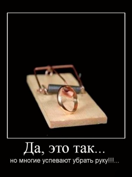 picture_377376350