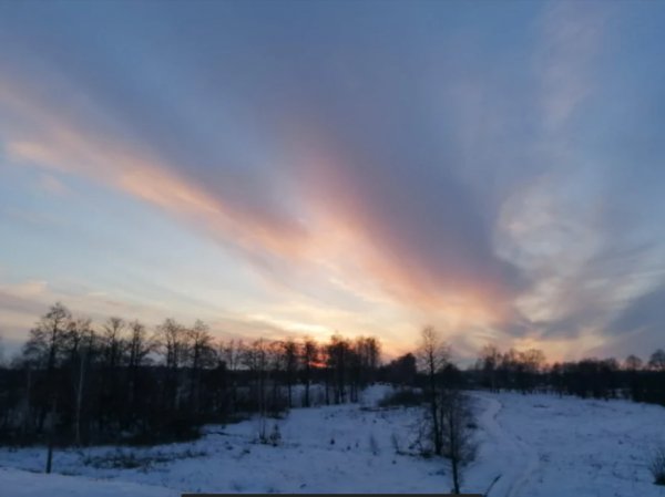 Люблю зиму