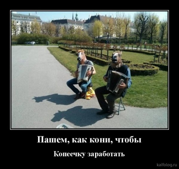 picture_379432232