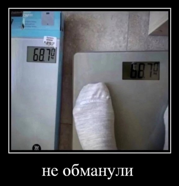 Не обманули