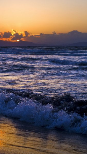 Природа