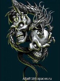 Skull drakon-