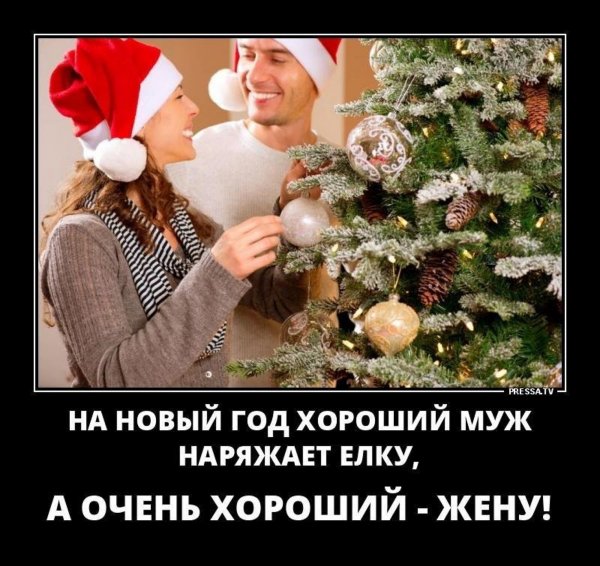 IMG 20250113 213749