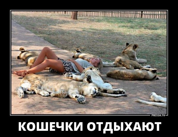 Отдых