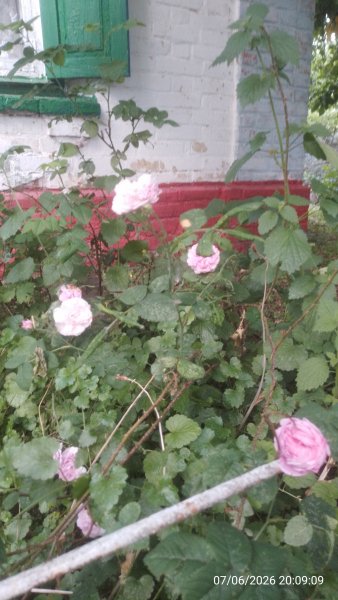 picture_413973280