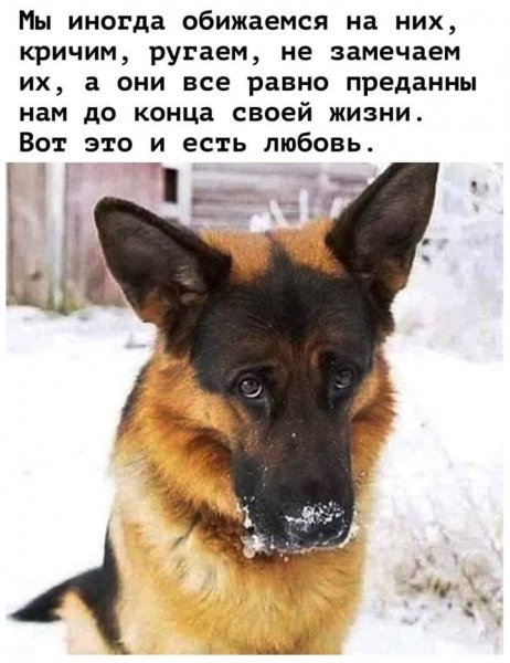 FB IMG 1611365452404