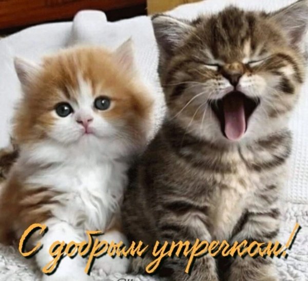 IMG-20220304-WA0000