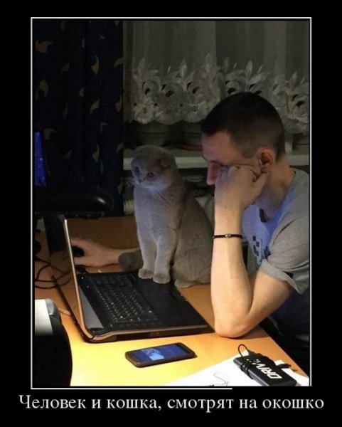 Человек и кошка